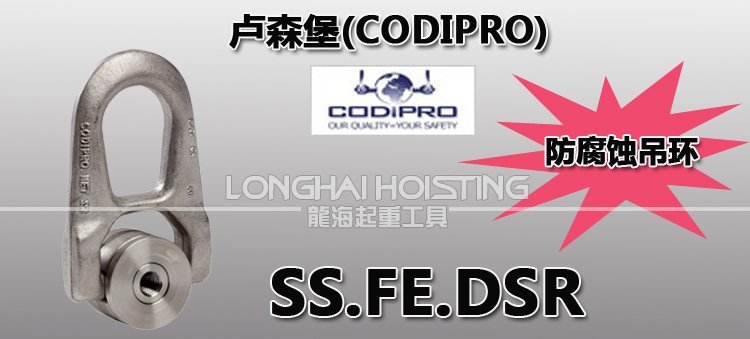 盧森堡SS.FE.DSS不銹鋼吊環(huán) 盧森堡SS.FE.DSS不銹鋼吊環(huán)