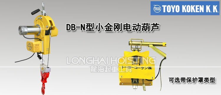 DB-N型小金剛電動(dòng)葫蘆 DB-N型小金剛電動(dòng)葫蘆